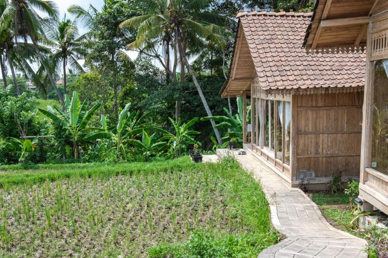 Kidem Ubud Villas Exteriör bild